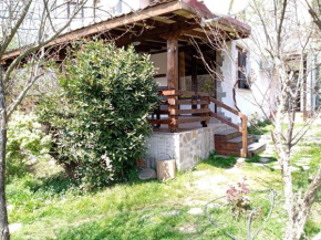 Гостиница Guest House Fanny  Синеморец